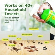 BugMD 32 oz Ant Killer & Bug Spray - Roach and Cockroach Killer Indoor, Spider and Flea Spray for Home, Fly and Insect Defense, Natural, Safe with Essential Oils, Plant-Powered, Pest Control