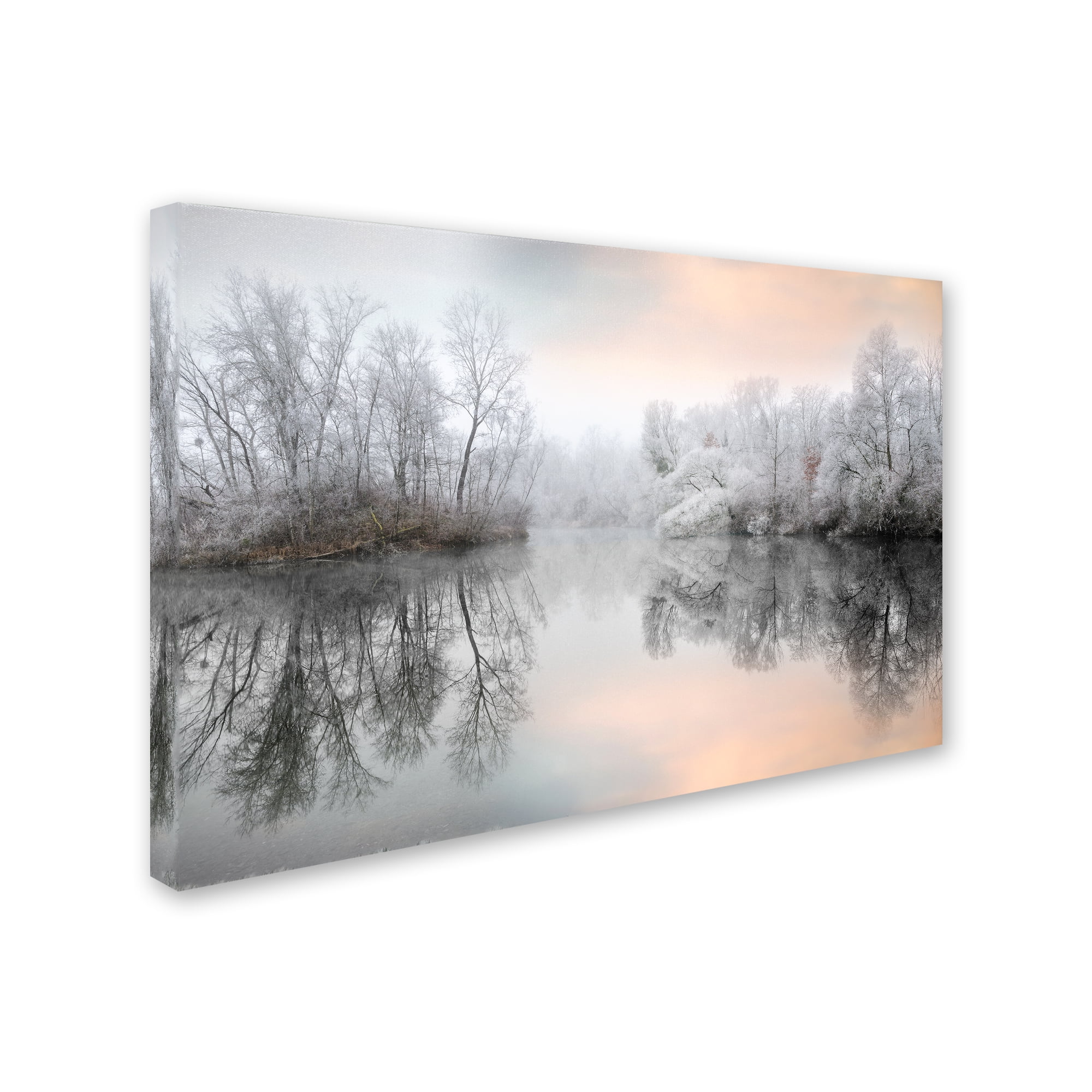Trademark Fine Art 'White Silence' Canvas Art by Philippe Sainte-Laudy