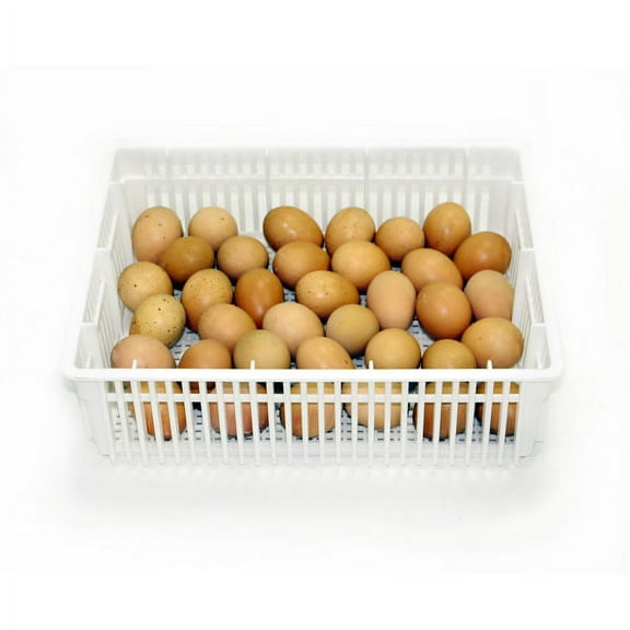 Hatching Egg Basket (35 Chicken Eggs), CS35Y, Durable, ABS Plastic, Fits Hatching Time HB Incubators