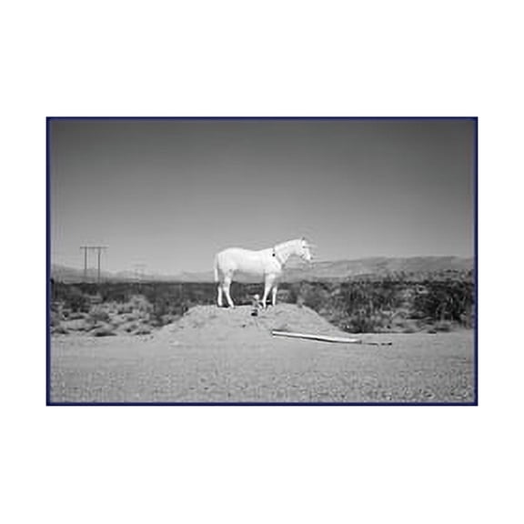 Prophetic Kingdom (Hardcover)