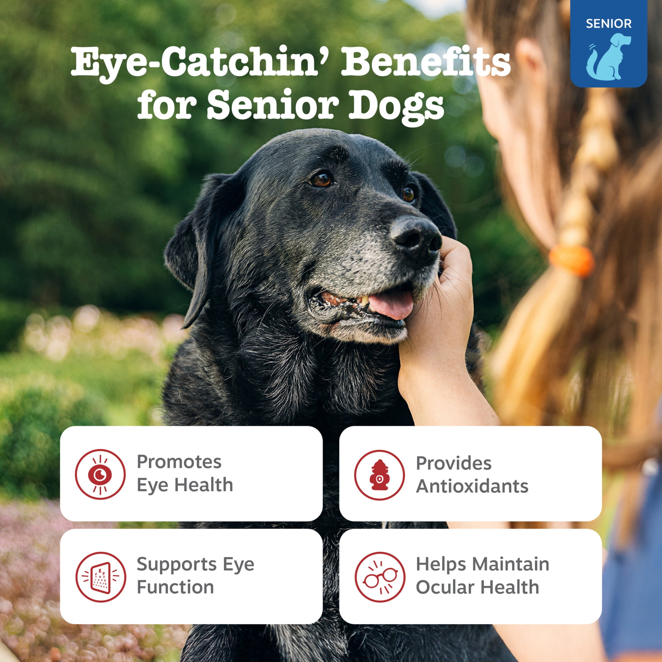 Zesty Paws Senior Advanced Vision Bites Chicken Flavor Dog Supplement, 90 Count