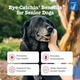 thumbnail image 3 of Zesty Paws Senior Advanced Vision Bites Chicken Flavor Dog Supplement, 90 Count, 3 of 12