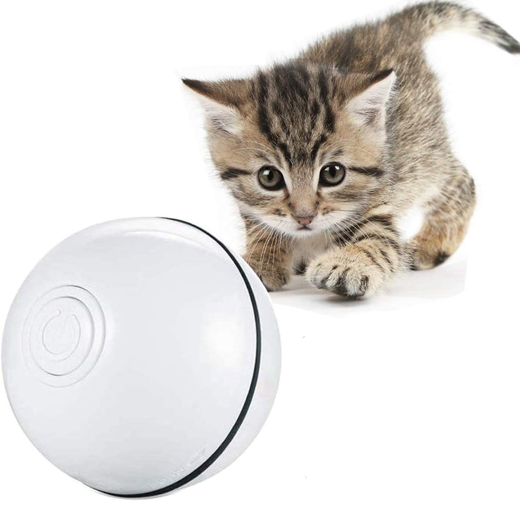 spinning ball cat toy