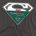 thumbnail image 2 of Superman Welsh Shield Women's T Shirt, Charcoal, 2X-Large, 2 of 6