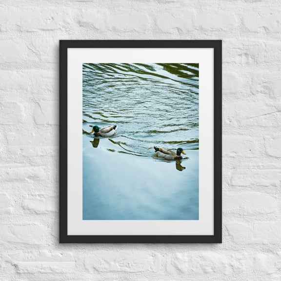 "On Calm Waters" — Wildlife Nature Art Framed Poster (Black, 16″×20″)