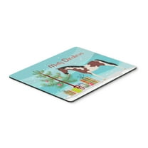 Carolines Treasures BB9274MP Pinto Horse Christmas Mouse Pad Hot Pad or Trivet Teal Large multicolor