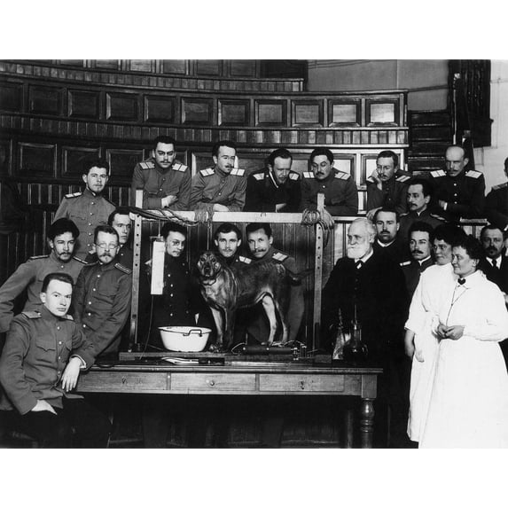 Ivan Petrovich Pavlov N(1849-1936) Russian Physiologist Pavlov (Center With Beard) With Assistants And Students At The Imperial Military Academy Of Medicine St Petersburg 1912-14 Prior To A Demonstrat