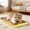 Brown A, variant on AuroraX Cat Scratcher Pad Cat Scratching Mat Durable Corrugated Thickened Replaceable Pet Supplies