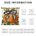 thumbnail image 5 of ZHZY Short Plush Pillowcase Decorative Zipper Aesthetic Home Furnishing 1PC 24x24in, 5 of 5