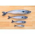 thumbnail image 5 of Pet Cat Kitten Chewing Cat Toys Stuffed Fish Mint Pet Interactive Kitten Product, 5 of 5