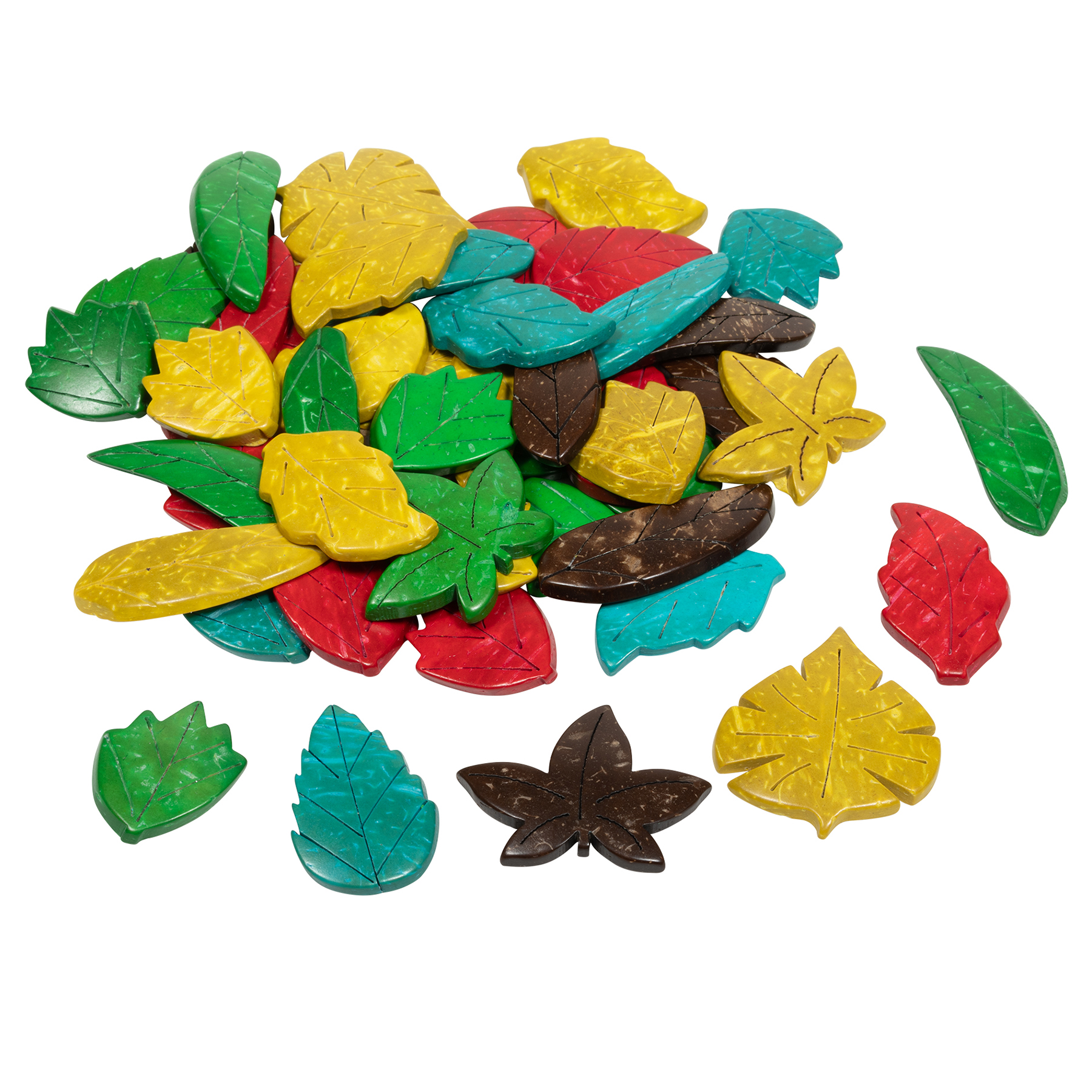 READY 2 LEARN Coconut Leaves, Set of 50