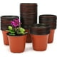 thumbnail image 1 of Zhuge 100 macetas de plástico de 4 pulgadas para vivero, plántulas, flores, plantas, contenedores para iniciar semillas, 4 pulgadas, color rojo, 1 of 4