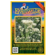 Everwilde Farms - 800 False Boneset Native Wildflower Seeds - Gold Vault Jumbo Bulk Seed Packet