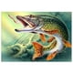 thumbnail image 2 of 5D pescado mordedura gancho diamante pintura bordado bricolaje punto de cruz Home Decor Likrtyny decoración de arte, 2 of 8