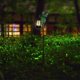 thumbnail image 4 of Frog Solar Lights Outdoor Garden Solar Waterproof Frog Garden Decor, 4 of 5