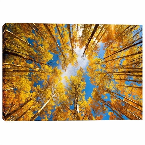 Epic Graffiti 'Towering Aspens' by Darren White, Canvas Wall Art, 40" x 60"