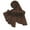 Coffee, variant on Mercerized Cotton Headscarf With Rhinestones Decoration Women's Elegant Lightweight Scarf Shawl