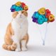 thumbnail image 4 of Pelucas para mascotas, perros y gatos. Accesorios divertidos para disfraces. Pelucas de colores. Accesorios fotográficos bonitos para fiestas de disfraces, Halloween y cosplay., 4 of 8