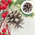 thumbnail image 3 of Twinkseal Diy Crafts Pine Cones 10pcs Natural Pine Cone Decorations for Diy Crafts Christmas Parties Weddings Christmas Pine Cones, 3 of 8