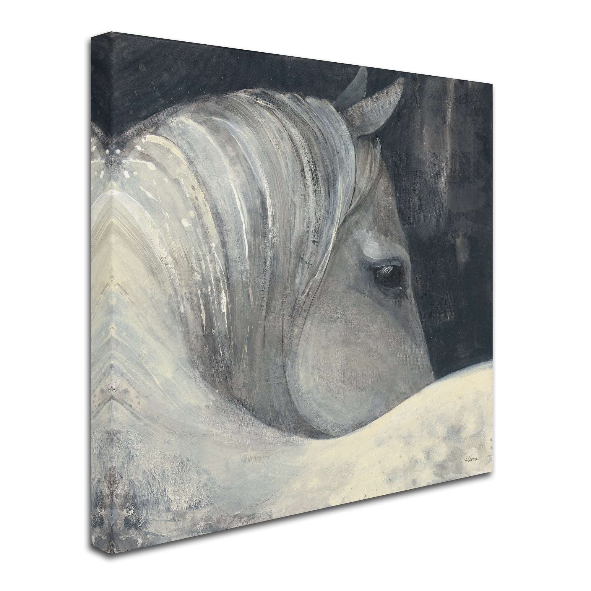 Trademark Fine Art 'Bijou' Canvas Art by Albena Hristova