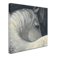 thumbnail image 2 of Trademark Fine Art 'Bijou' Canvas Art by Albena Hristova, 2 of 3