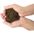 thumbnail image 2 of Premium Natural Sphagnum Peat Moss - Gardening Soil Amendment and Carnivorous Plant Soil Media by Gardenera (2 Quart Bag), 2 of 6
