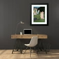 thumbnail image 4 of Pierre Puvis de Chavannes 19x24 Black Modern Framed Museum Art Print Titled - Death and the Maidens (1872), 4 of 5