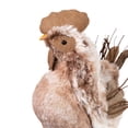 thumbnail image 5 of Northlight Spring Chicken Figure - 15.75" - Brown and Orange, 5 of 9