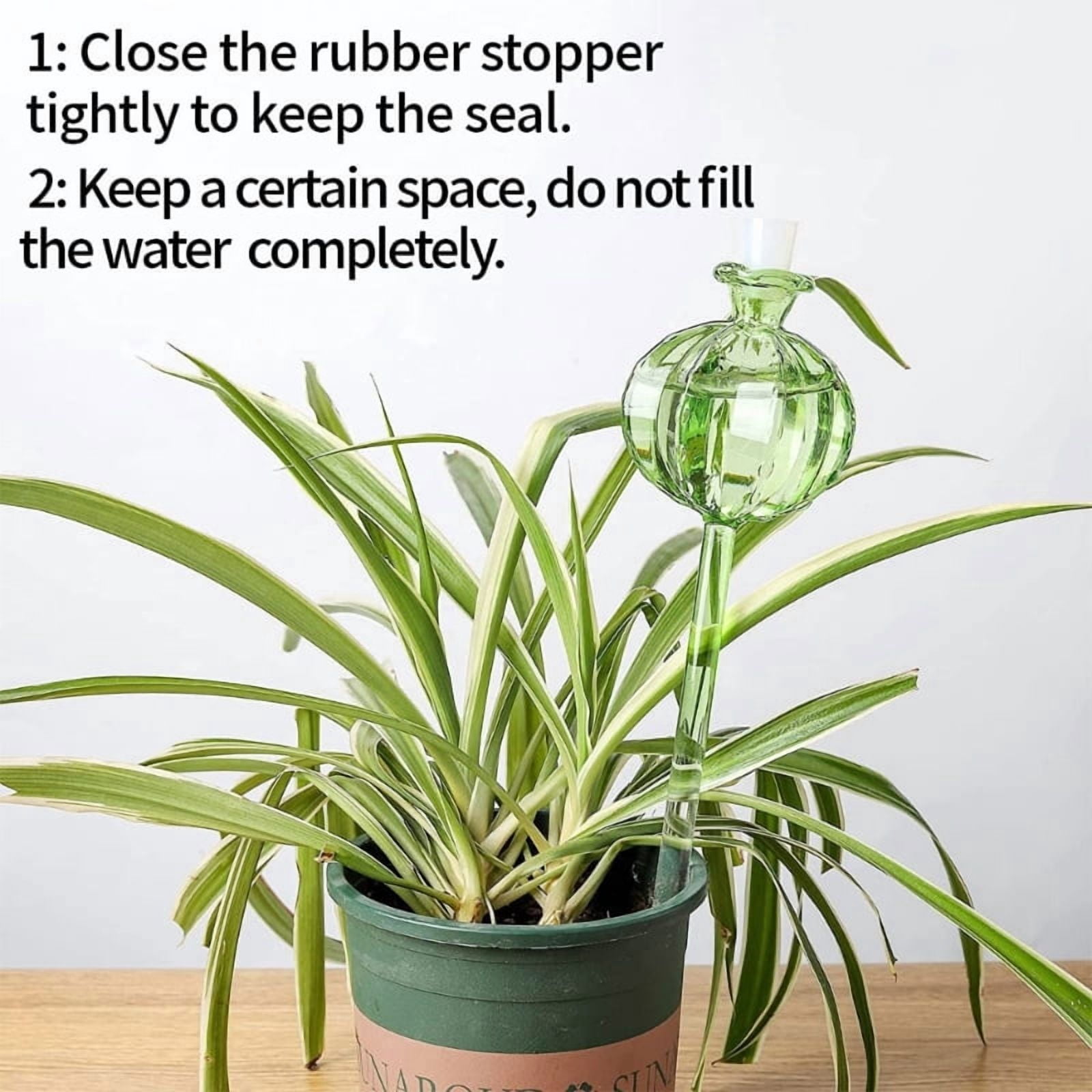 Zecic 3xPlant Self Watering Ball Water Bulbs Drip Irrigation System for Indoor Potted