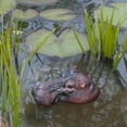 thumbnail image 4 of Pond Floating Hippopotamus Head Garden Animal Figurine Ornament Garden Statue, 4 of 6