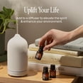 thumbnail image 6 of Cliganic Organic Aromatherapy Essential Oils Set (Top 12), 6 of 9