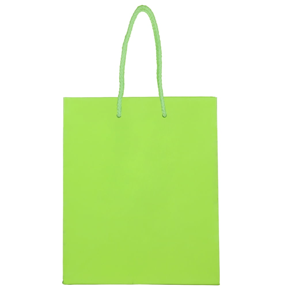 Small Mint Green Gift Bag 5 1/4in x 8 1/4in