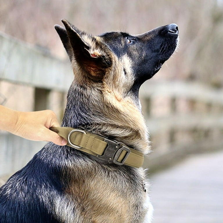 QWZNDZGR Durable Military Tactical Dog Collar Bungee Leash Set Pet Nylon  Walking Training Collar For Medium Large Dogs German Shepard - Walmart.com