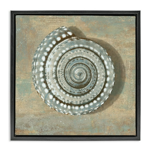 Stupell Industries Spiral Shell Beach Objects Design Nature Painting Black Floater Framed Canvas Art Print Wall Art, 18 x 18
