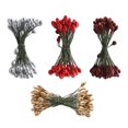 thumbnail image 1 of GUOOL 200pcs Artificial Double Head Berries DIY Craft Golden Red Dark Red, 1 of 9