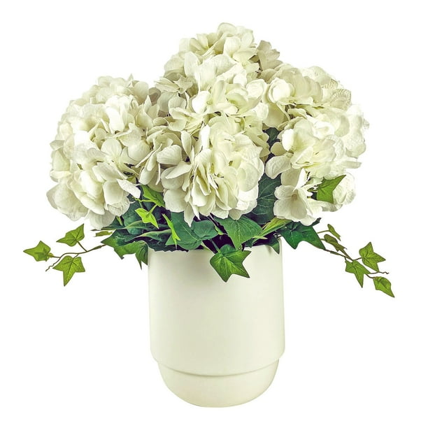 Hydrangea4937　0602 Lavender Medley | Blooms Today | Blooms Today