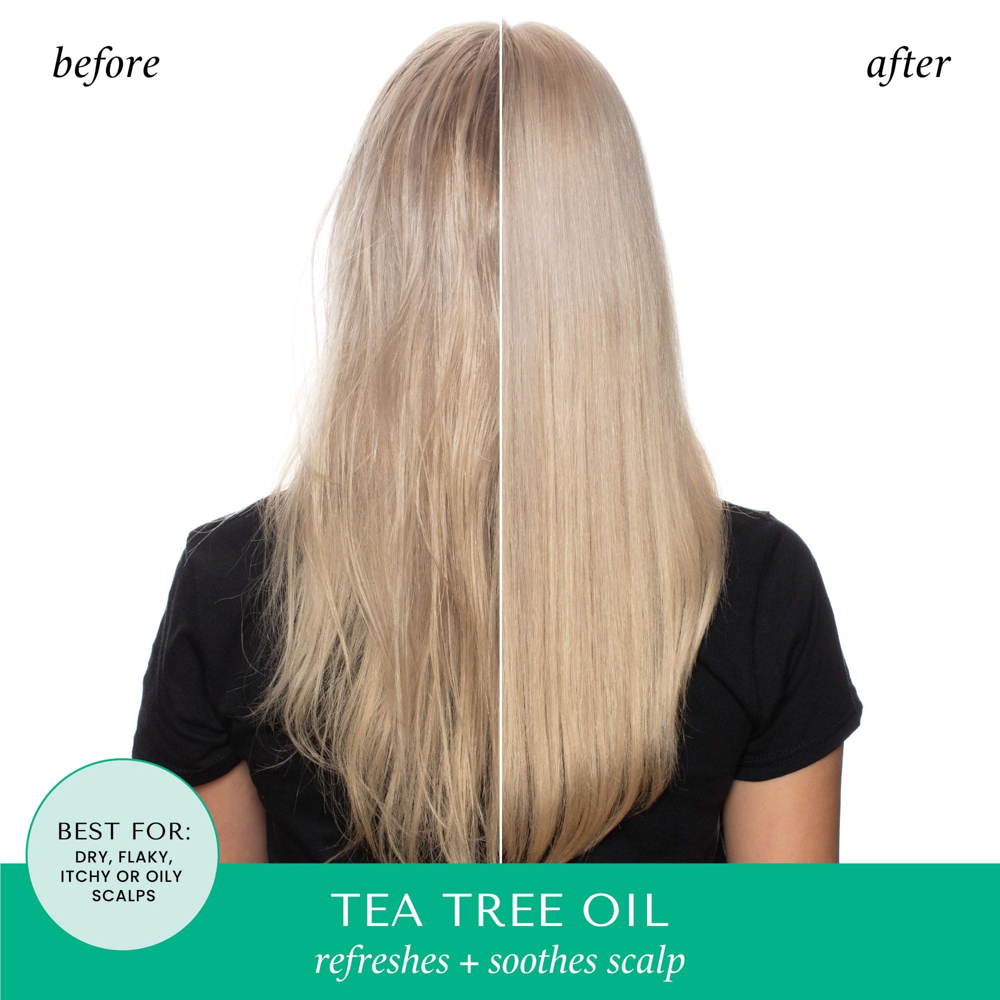 HASK TEA TREE OIL & ROSEMARY Shampoo and Conditioner Set Soothing and Restoring Scalp Care - Color safe, gluten-free, sulfate-free, paraben-free - 1 Shampoo and 1 Conditioner