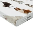 thumbnail image 2 of Ambesonne Colorful Fitted Sheet, Puppy Breeds Family, Twin XL Size, Multicolor, 2 of 3
