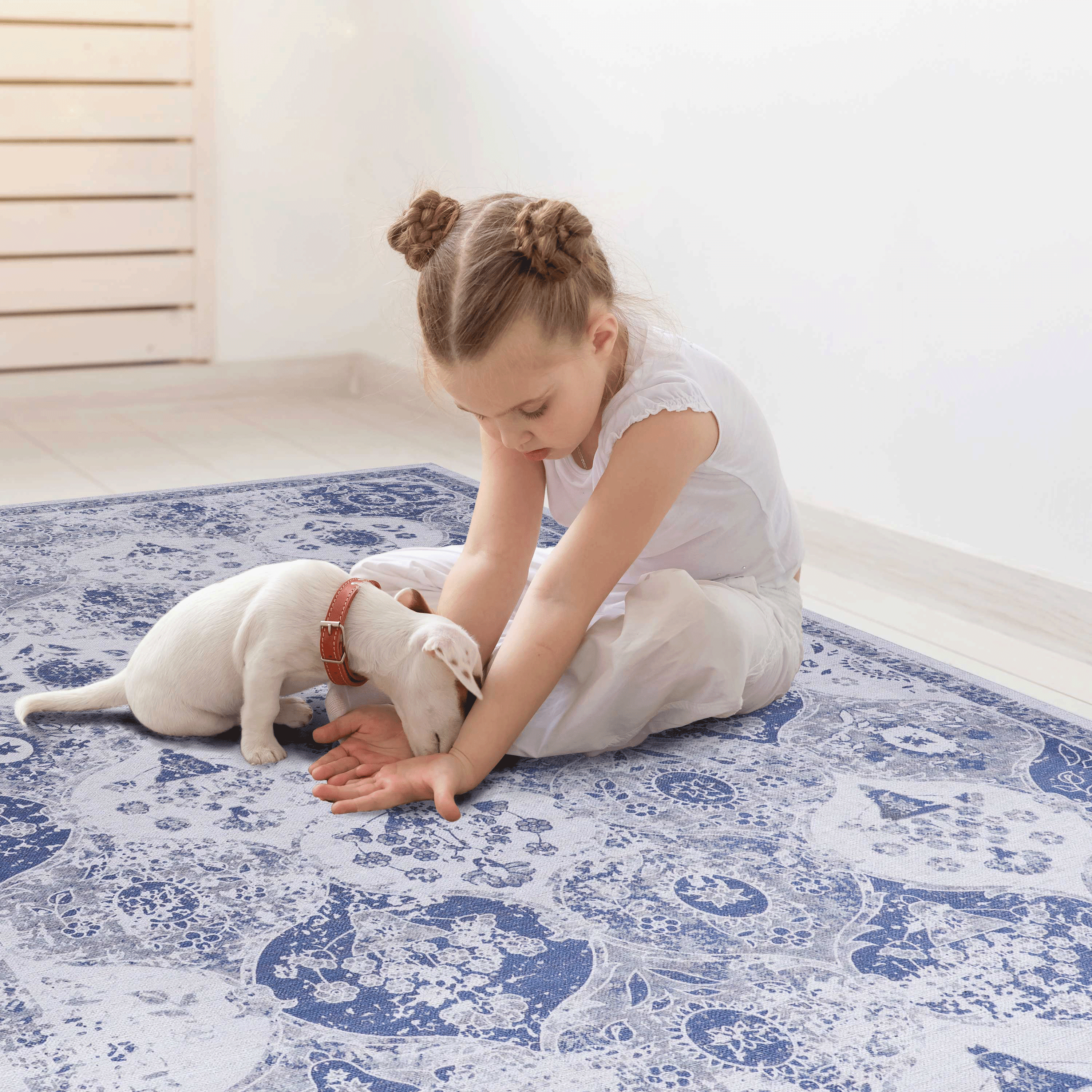 Area Rug 2' x 3' Non-Slip Low Pile Chenille Doormat Rug Stain Resistant Indoor Carpet for Living Room Bedroom Kitchen Entryway Hallway