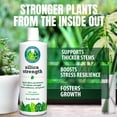 thumbnail image 2 of Plant Supplement Silica Strength 4.5% Liquid 250mL for Houseplants, 2 of 9