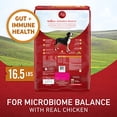 thumbnail image 5 of Purina ONE Chicken and Rice Formula Dry Dog Food - 16.5 lb. Bag (Pack of 4), 5 of 8