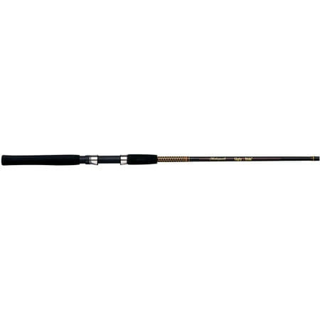 Shakespeare Ugly Stik Fishing Rod