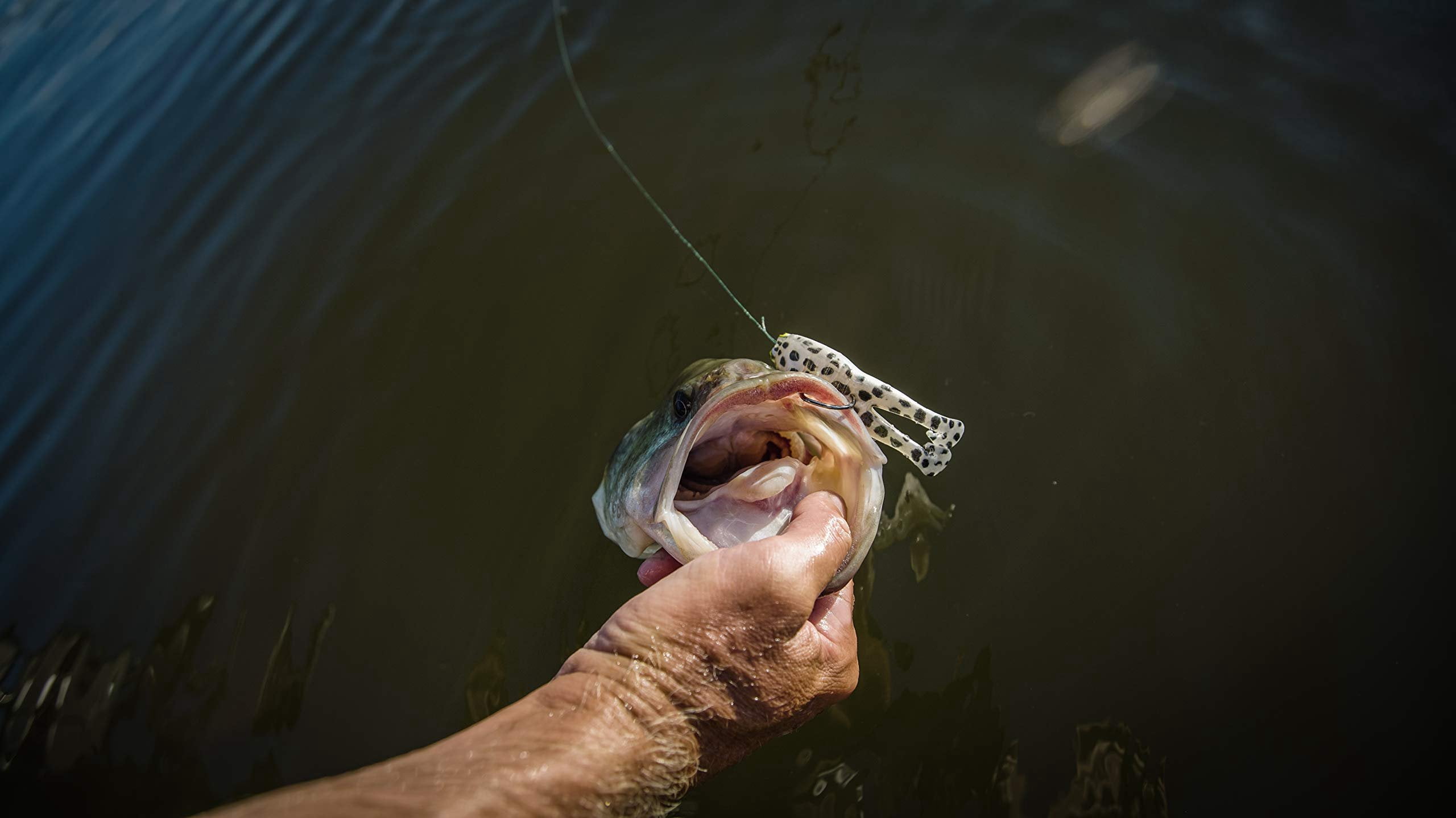 PowerBait® Buzz'n Speed Toad