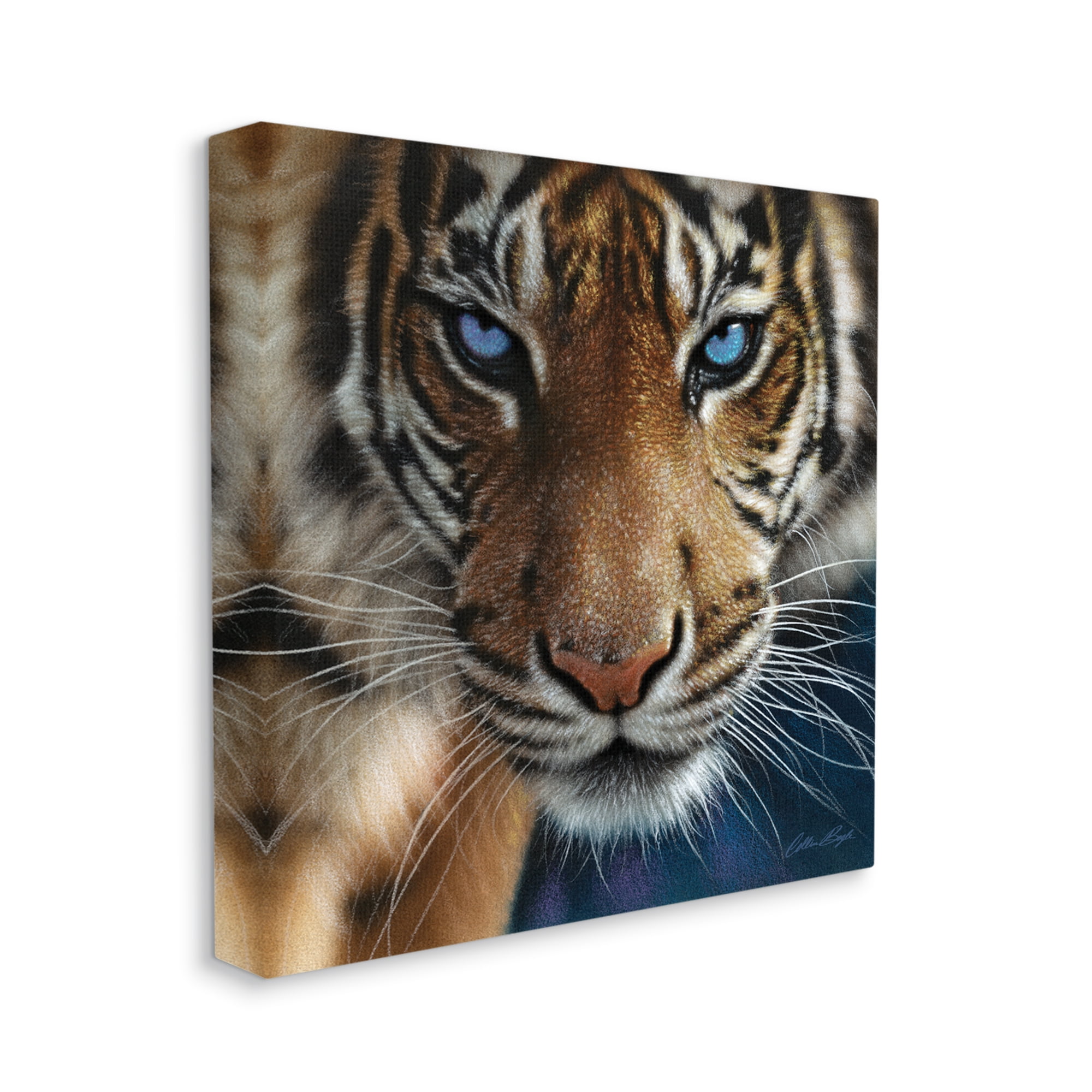 Stupell Industries Blue Eyed Beautiful Fierce Tiger Close Up Detailed Portrait Paintings Gallery-Wrapped Canvas Print Wall Art, 24x24, by Collin Bogle