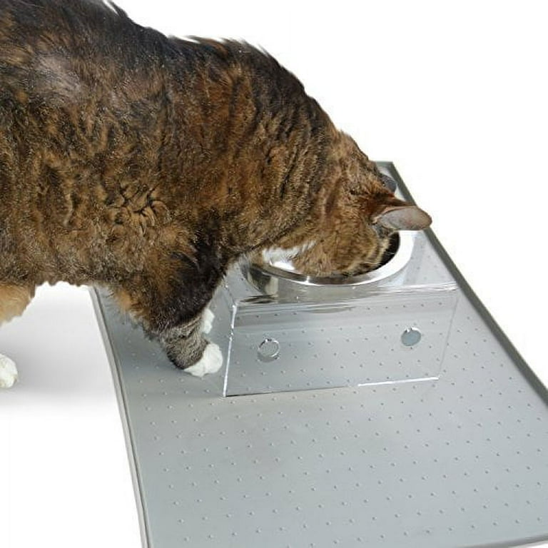 PetFusion Elevated SinglePod Magnetic Cat Feeder. Cat Dish Single 8 x 8 x 4 Translucent Walmart