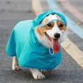 thumbnail image 3 of Dog Raincoat Hooded Jacket Transparent Visor Waterproof Cape for Small Medium Large Dogs, Blue M - Blue M, 3 of 4