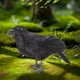 thumbnail image 4 of 4pc Realistic Crow Feathered Crow For Halloween Decorations Birds, 4 of 6
