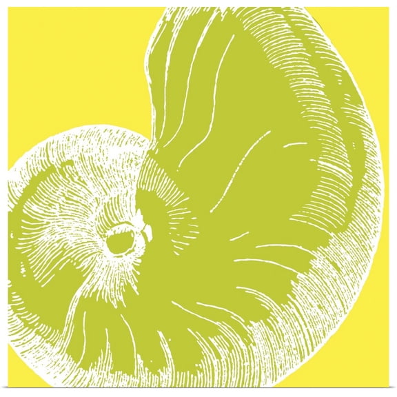 Great BIG Canvas | "Graphic Shell II - mini" Art Print - 16x16