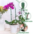 thumbnail image 3 of Plant fixed anti-lodging flower stand support single pole orchid support pole, 3 of 13