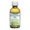 De La Cruz Eucalyptus Essential Oil for Aromatherapy Diffuser and Humidifier, Stress Relief 2 fl oz